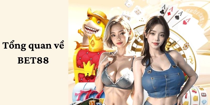 Tổng hợp các thông tin tổng quan về sàn giải trí BET88